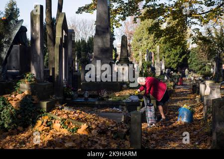 Eine ältere Frau sah, wie sie auf dem historischen Powazki Friedhof ein Grab reinigte. Der Allerheiligste Tag, der am 1.. November stattfindet, ist ein Feiertag in Polen und einer der wichtigsten katholischen Feiertage im Laufe des Jahres. Diejenigen, die ihre Angehörigen verloren haben, gehen auf die Friedhofs, um den Toten ihre Achtung zu erweisen. Sie brennen Kerzen auf den Gräbern und bringen Blumen. Es wird manchmal auch als der Tag der Erinnerung an die, die gegangen sind, bezeichnet. Stockfoto