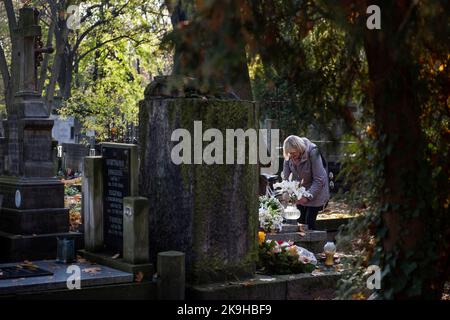 Warschau, Polen. 27. Oktober 2022. Eine Frau legt Blumen auf ein Grab auf dem historischen Powazki Friedhof. Der Allerheiligste Tag, der am 1.. November stattfindet, ist ein Feiertag in Polen und einer der wichtigsten katholischen Feiertage im Laufe des Jahres. Diejenigen, die ihre Angehörigen verloren haben, gehen auf die Friedhofs, um den Toten ihre Achtung zu erweisen. Sie brennen Kerzen auf den Gräbern und bringen Blumen. Es wird manchmal auch als der Tag der Erinnerung an die, die gegangen sind, bezeichnet. (Foto von Attila Husejnow/SOPA Images/Sipa USA) Quelle: SIPA USA/Alamy Live News Stockfoto