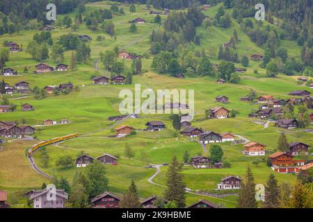 Zug fährt hinunter nach Grindelwald, schweizer Chalets Landschaft, Schweiz Stockfoto