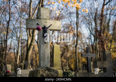 Warschau, Mazowieckie, Polen. 27. Oktober 2022. Ein Kruzifix mit einer Rose, das zwischen den Gräbern des historischen Powazki Friedhofs gesehen wird. Der Allerheiligste Tag, der am 1.. November stattfindet, ist ein Feiertag in Polen und einer der wichtigsten katholischen Feiertage im Laufe des Jahres. Diejenigen, die ihre Angehörigen verloren haben, gehen auf die Friedhofs, um den Toten ihre Achtung zu erweisen. Sie brennen Kerzen auf den Gräbern und bringen Blumen. Es wird manchmal auch als der Tag der Erinnerung an die, die gegangen sind, bezeichnet. (Bild: © Attila Husejnow/SOPA Images via ZUMA Press Wire) Stockfoto