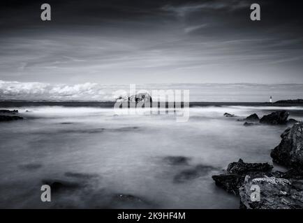 Bass Rock vom Seacliff Beach in der Nähe von North Berwick, East Lothian, Schottland, Großbritannien Stockfoto