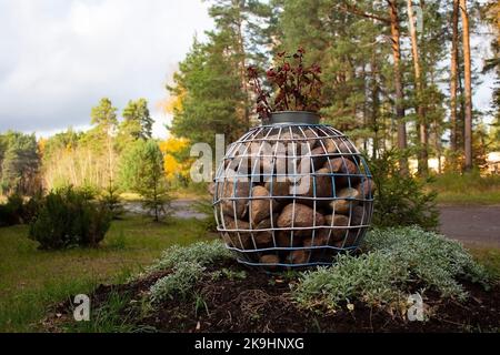 Das moderne Gabion mit natürlichen Granitsteinen in einem Drahtgeflecht steht auf einem Blumenbeet im Park. Auf dem Korb wächst eine Blume. Landschaftsgestaltung in Stockfoto