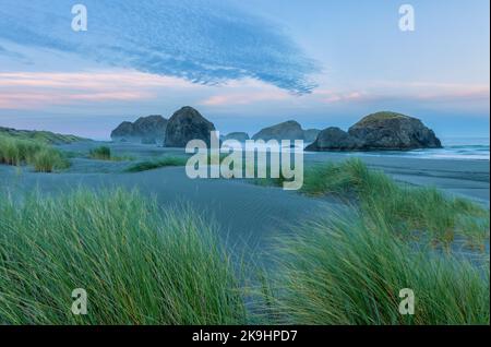 Eine ruhige Küstenszene in Oregon bei Sonnenaufgang mit Sandstrand erstreckt sich zum Horizont hin, gesäumt von mehreren großen, abgerundeten Meeresstapeln Stockfoto