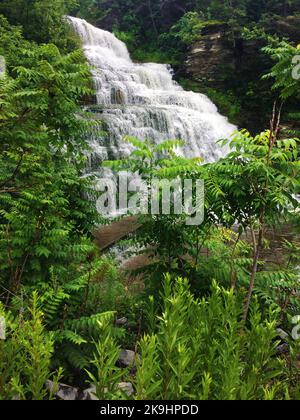 Hector Falls am Hector Creek liegt direkt am Highway 414 im Schuyler County, New York Stockfoto