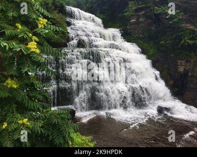 Sumac-Büsche wachsen an der Seite des Canyons neben Hector Falls, Schuyler County, New York Stockfoto