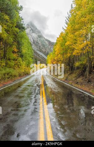 An einem regnerischen Herbsttag zieht sich eine gewundene Asphaltstraße durch einen Asphaltwald und führt zu einem nebeligen Berggipfel am June Lake Loop, Kalifornien. Stockfoto