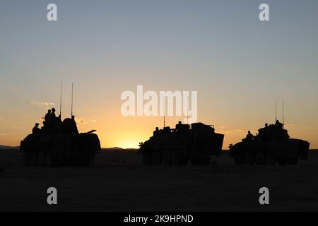 US-Marineinfanteristen mit Hauptsitz, 3. Leichtes Aufklärungsbataillon, 1. Marine Division und Soldaten der Vereinigten Arabischen Emirate fahren während einer bilateralen Trainingsmission im Marine Corps Air Ground Combat Center Twentynine Palms, Kalifornien, am 4. Oktober 2022 in Leichtgepanzerten Fahrzeugen der Marke LAV-25. Die Schulung konzentrierte sich auf die Entwicklung der Intelligenz, Überwachung, Zielakquisition und Aufklärungsfähigkeiten der VAE-Dienstmitglieder. (USA Marine Corps Foto von Lance CPL. Earik Barton) Stockfoto