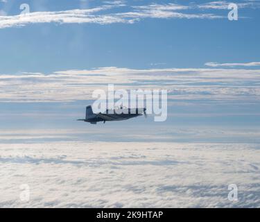 Ein T-6 Texan II fliegt am 14. Oktober 2022 von der MacDill Air Force Base, Florida, zur Eglin Air Force Base, Florida, als Teil von Ambush Florida. Hinterhalt Florida ist eine Mission, bei der Piloten des Flying Training Squadron 85. in eine andere Region der USA fliegen und andere Stützpunkte „Hinterhalt“ machen, um Piloten bei Langstreckenflügen zu helfen, Erfahrungen zu sammeln. (USA Luftwaffe Foto von Senior Airman Nicholarsen.) Stockfoto