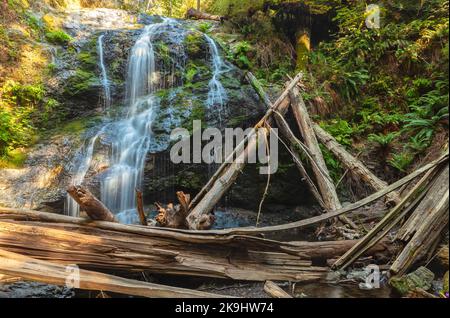 Cascade Falls im Sommer, Moran State Park, Orcas Island, Washington, USA. Stockfoto