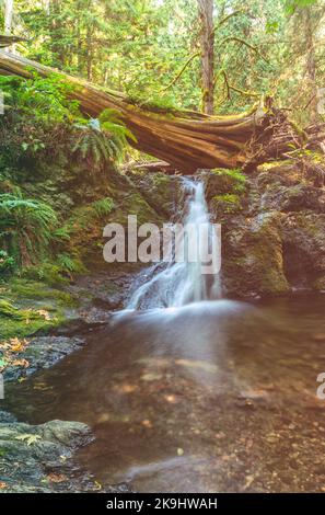 Rustikale Wasserfälle im Sommer, Moran State Park, Orcas Island, Washington, USA. Stockfoto