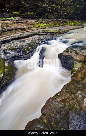 Enfield Creek fließt durch die Enfield Gorge im Watkins Glen State Park, Schuyler County, New York Stockfoto