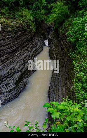 Der Enfield Creek, der acht von zwölf Tagen von Regen überflutet wird, fließt durch Enfield Gorge, Robert H. Treman State Park, Tompkins County, New York Stockfoto