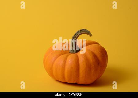 Frischer, ganz orangefarbener Kürbis mit Kopierfläche auf gelbem Hintergrund und Kopierfläche für Text Stockfoto