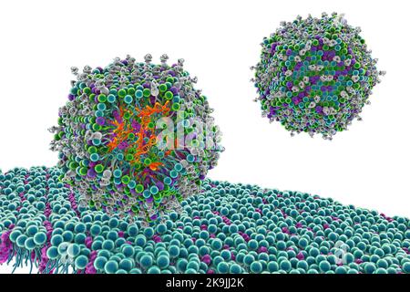Antivirale siRNA-Lipid-Nanopartikel, Illustration Stockfoto