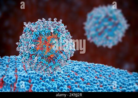 Antivirale siRNA-Lipid-Nanopartikel, Illustration Stockfoto