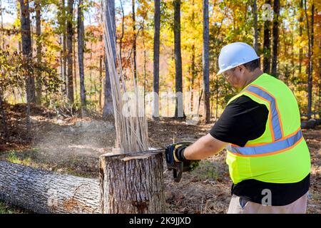 Es gibt Arbeiter, die Bäume abschneiden, nachdem ein starker Hurrikan den Park in den Herbstmonaten getroffen hat Stockfoto