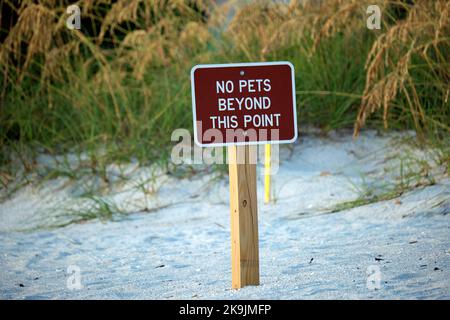 Schild mit Warnung vor keine Haustiere über diesen Punkt hinaus am Strand mit kleinen Sanddünen und grasbewachsenen Vegetation an warmen Sommertagen. Stockfoto