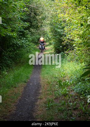 WA22627-00...WASHINGTON - Reiten auf einem von zwei unbefestigten Abschnitten des Olympic Discovery Trail. Stockfoto