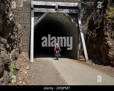 WA22650-00...WASHINGTON - Radler verlässt den McPhee Tunnel auf dem Olympic Discovery Trail am Ufer des Lake Crescent im Olympic National Park. Stockfoto