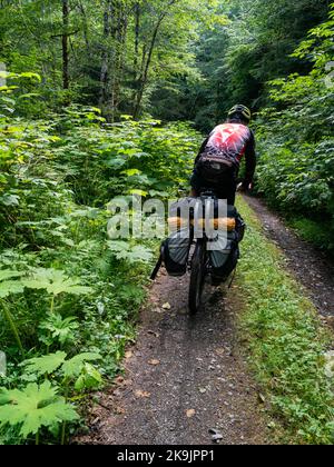 WA22654-00...WASHINGTON - Radler, der sich auf einer bewachsenen Waldstraße im Olympic National Forest nach dem Cross Washington Kies zufährt Stockfoto