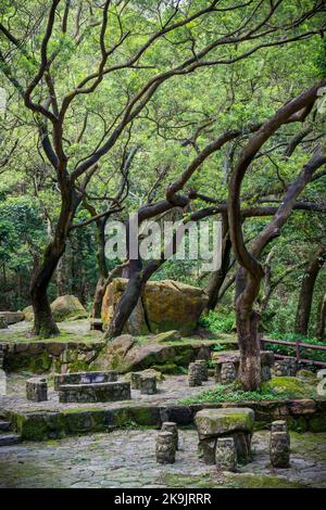 Golden Hill Rastplatz, mit rustikalen Steintischen, Sitzplätzen und Grillplätzen im kam Shan Country Park, Kowloon Hills, New Territories, Hong Kong Stockfoto