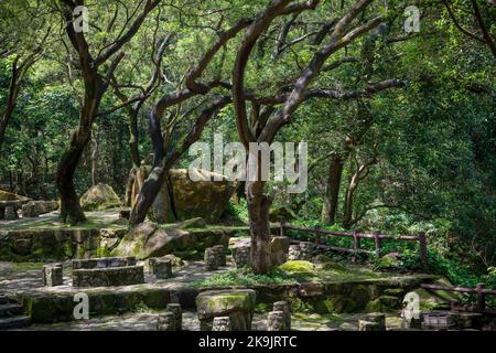 Golden Hill Rastplatz, mit rustikalen Steintischen, Sitzplätzen und Grillplätzen im kam Shan Country Park, Kowloon Hills, New Territories, Hong Kong Stockfoto