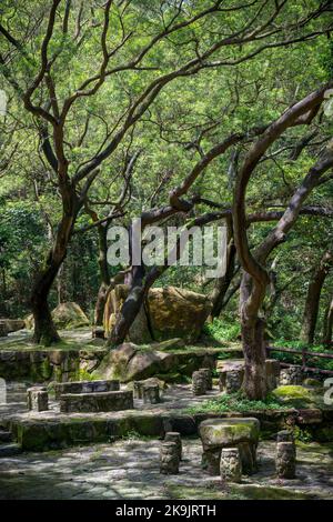 Golden Hill Rastplatz, mit rustikalen Steintischen, Sitzplätzen und Grillplätzen im kam Shan Country Park, Kowloon Hills, New Territories, Hong Kong Stockfoto