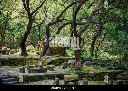 Golden Hill Rastplatz, mit rustikalen Steintischen, Sitzplätzen und Grillplätzen im kam Shan Country Park, Kowloon Hills, New Territories, Hong Kong Stockfoto