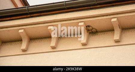 Vogelkontrollspitzen, Anti-Roosting-Spitzen, Taubenspitzen oder Roost-Modifikation an der Fassade eines Gebäudes Stockfoto