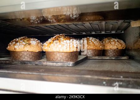 Gruppe von Panettonkuchen, die im Profi-Ofen beim Bäcker backen Stockfoto