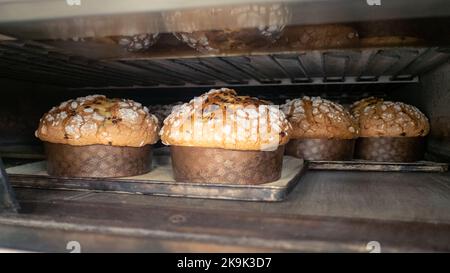 Gruppe von Panettonkuchen, die im Profi-Ofen beim Bäcker backen Stockfoto