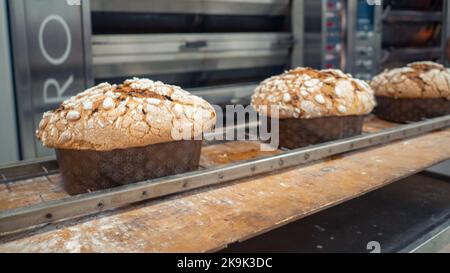 Gruppe von Panettonkuchen, die im Profi-Ofen beim Bäcker backen Stockfoto
