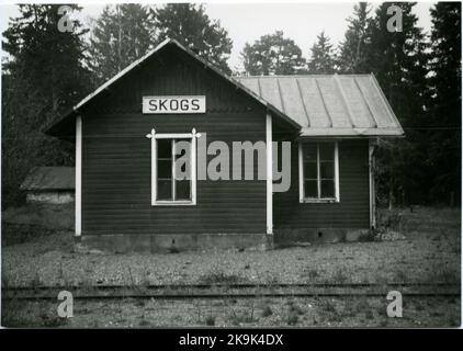 Text im Bild - Waldstation auf dem geschlossenen Band Slite Hablingbo 10,6. 1953. Stockfoto