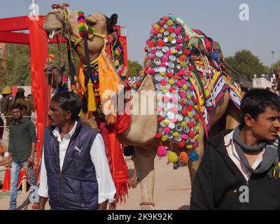 Bikaner Rajasthan, Indien : 14. Januar 2018 – dekoriert Kamel auf Top Indiens Kamel Festival „Bikaner Kamel Festival“. Stockfoto