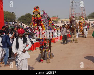 Bikaner Rajasthan, Indien : 14. Januar 2018 – dekoriert Kamel auf Top Indiens Kamel Festival „Bikaner Kamel Festival“. Stockfoto