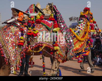 Bikaner Rajasthan, Indien : 14. Januar 2018 – dekoriert Kamel auf Top Indiens Kamel Festival „Bikaner Kamel Festival“. Stockfoto