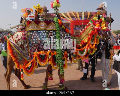 Bikaner Rajasthan, Indien : 14. Januar 2018 – dekoriert Kamel auf Top Indiens Kamel Festival „Bikaner Kamel Festival“. Stockfoto