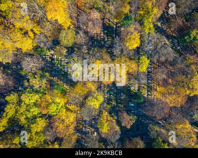 Kraków Luftansicht. Rakowicki Friedhof im Herbst. Kraków ist die Hauptstadt der Woiwodschaft Kleinpolen. Polen. Europa. Stockfoto