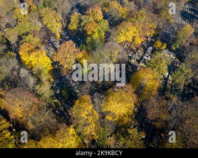 Kraków Luftansicht. Rakowicki Friedhof im Herbst. Kraków ist die Hauptstadt der Woiwodschaft Kleinpolen. Polen. Europa. Stockfoto