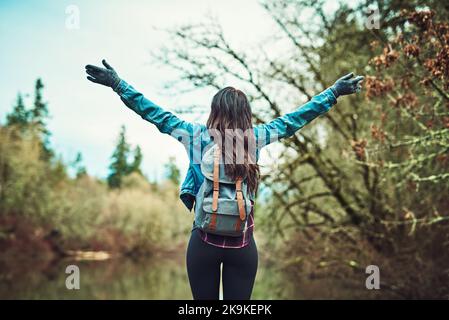 Gehen Sie irgendwo hin, wo Sie noch nie waren und Sie werden es lieben. Rückansicht einer nicht erkennbaren Frau im Wald. Stockfoto