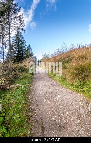 Beacon Fell, Lancashire, Großbritannien Stockfoto