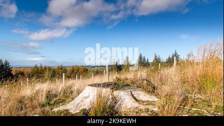 Beacon Fell, Lancashire, Großbritannien Stockfoto