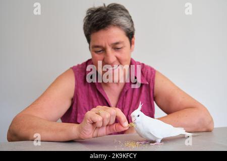 Reife Erwachsene Frau füttert ihren Albino-Nymphensittich mit Hirse. Stockfoto