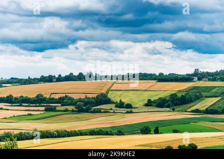 Ein wunderschönes Panorama auf den Westen von Roztocze. Hügelige Hügel, Felder und Wälder. Ein Bauernhof zwischen den Feldern. Roztocze ist als Polens Toskana bekannt. Hoszn Stockfoto