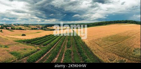 Ein wunderschönes Panorama auf den Westen von Roztocze. Hügelige Hügel, Felder und Wälder. Ein Bauernhof zwischen den Feldern. Roztocze ist als Polens Toskana bekannt. Stockfoto