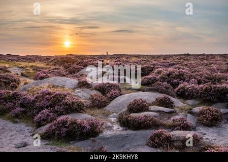 Atemberaubender spätsommerlicher Sonnenaufgang im Peak District über blühenden Heidefeldern rund um Higger Tor und Burbage Edge Stockfoto