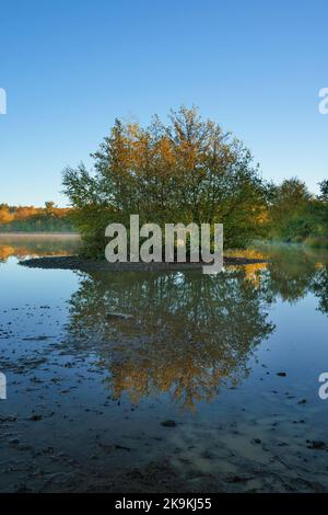 Im Besitz der Forstbehörde Woorgreens Lake in der Nähe von Cinderford. Stockfoto