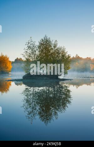 Im Besitz der Forstbehörde Woorgreens Lake in der Nähe von Cinderford. Stockfoto