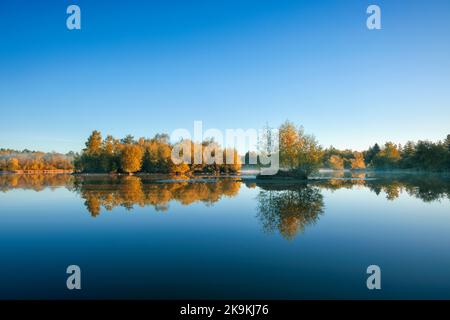 Im Besitz der Forstbehörde Woorgreens Lake in der Nähe von Cinderford. Stockfoto