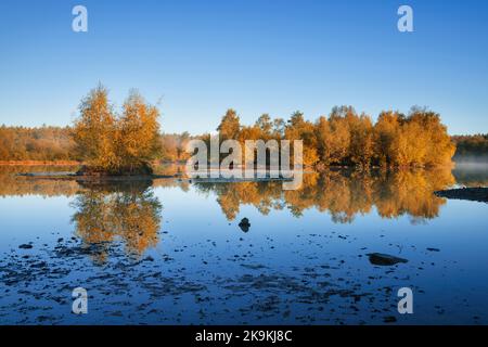 Im Besitz der Forstbehörde Woorgreens Lake in der Nähe von Cinderford. Stockfoto